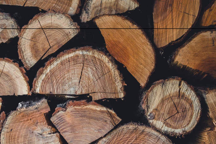 haramase_nyanko Example 3