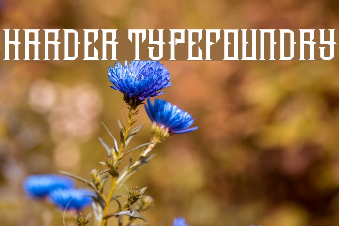 harder typefoundry Font examples