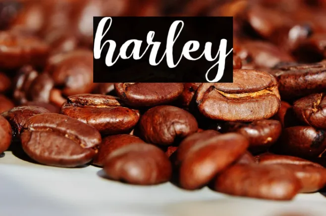 harley Example 1