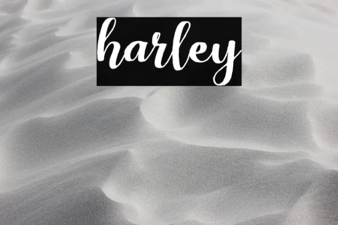 harley Example 2