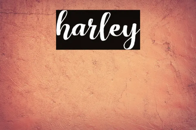 harley Example 3