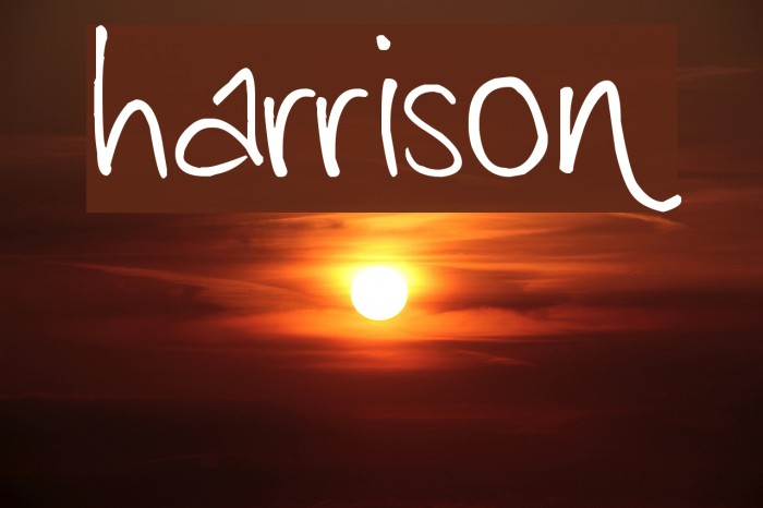 harrison Font examples
