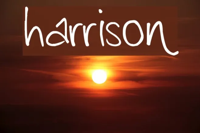 harrison Example 3