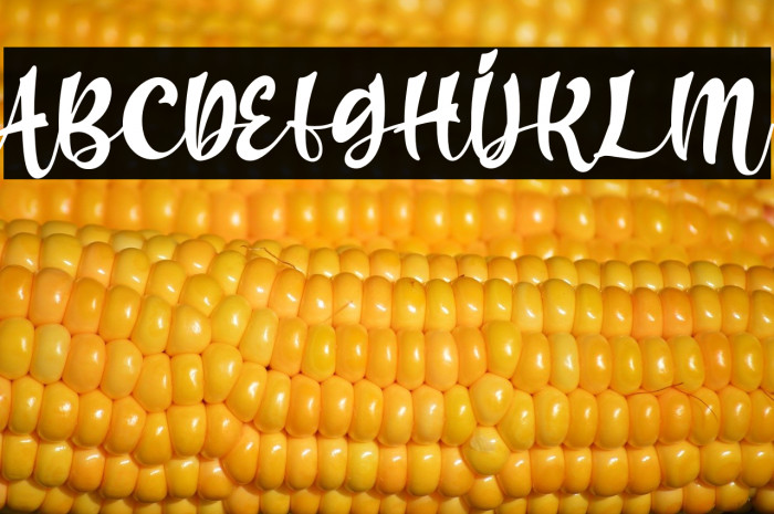 harry sunday - Personal Use Example 1