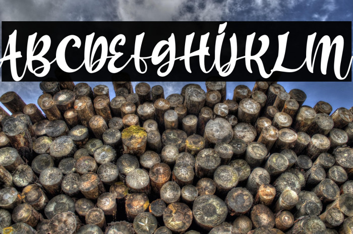 harry sunday - Personal Use Example 2