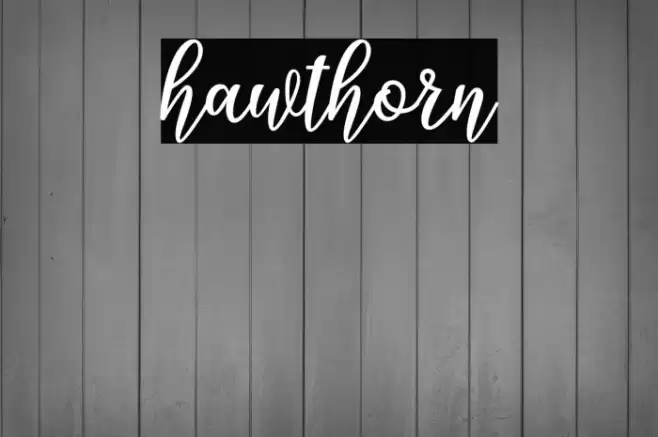 hawthorn Font examples
