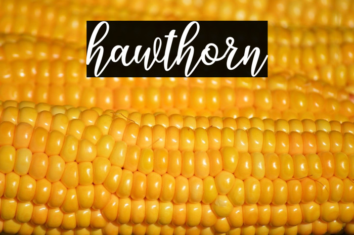 hawthorn Example 2