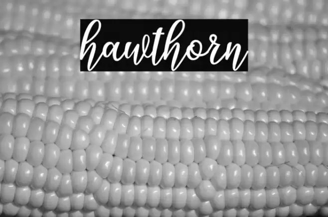 hawthorn Font examples