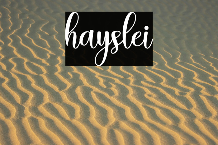 hayslei Example 1
