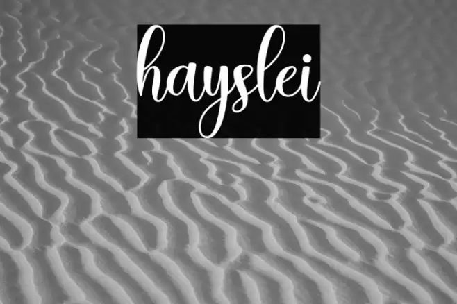 hayslei Font examples