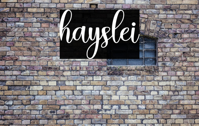 hayslei Example 2