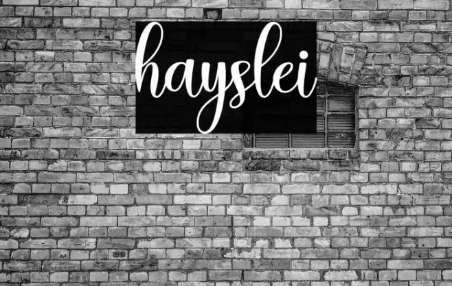 hayslei Font examples