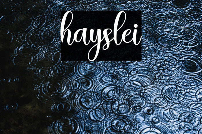 hayslei Example 3