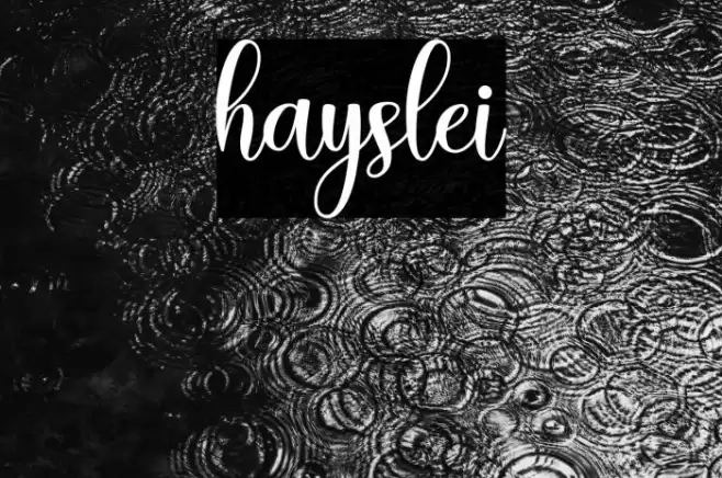 hayslei Font examples