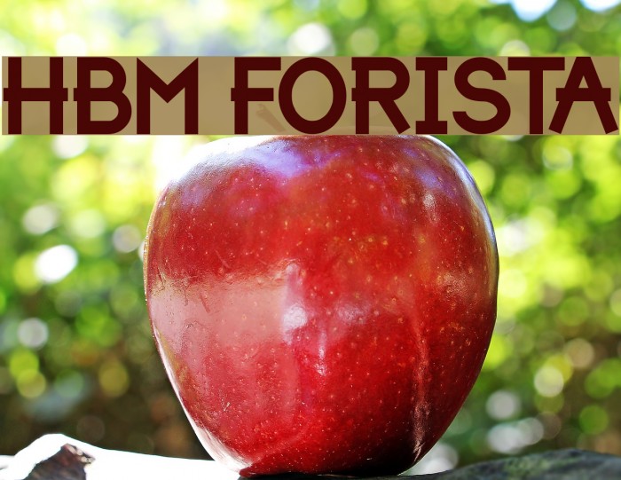 HBM Forista Font examples
