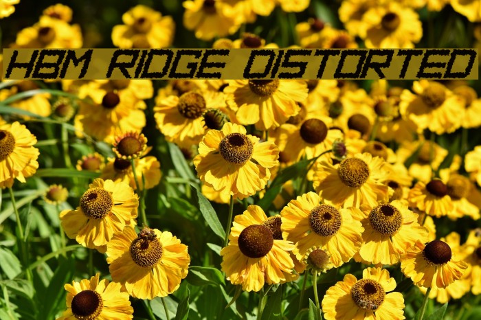 HBM Ridge Distorted फ़ॉन्ट examples