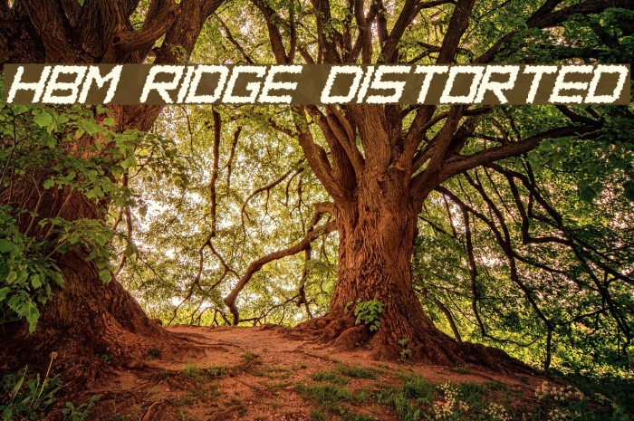 HBM Ridge Distorted फ़ॉन्ट examples