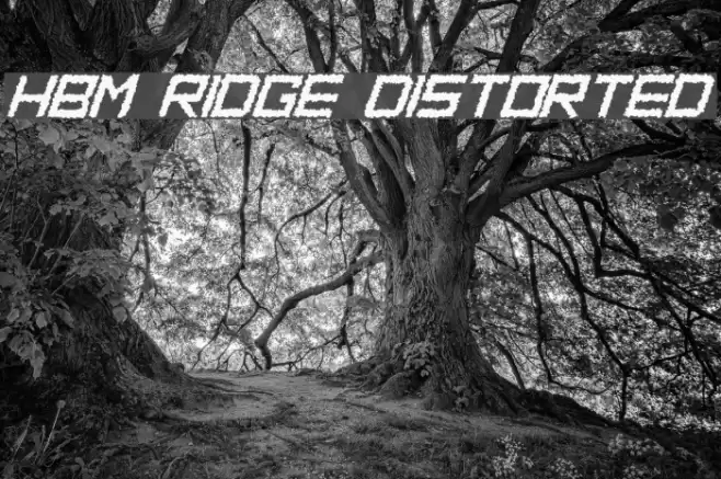 HBM Ridge Distorted Font examples