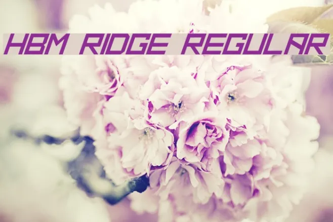 HBM Ridge Regular Example 1