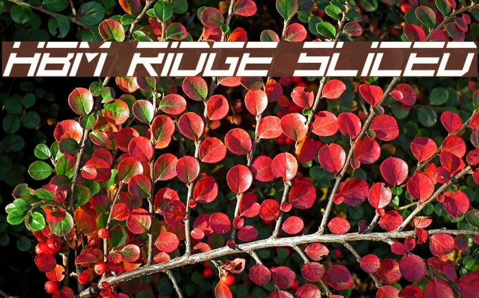 HBM Ridge Sliced Font examples