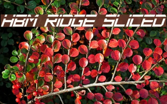 HBM Ridge Sliced Example 1