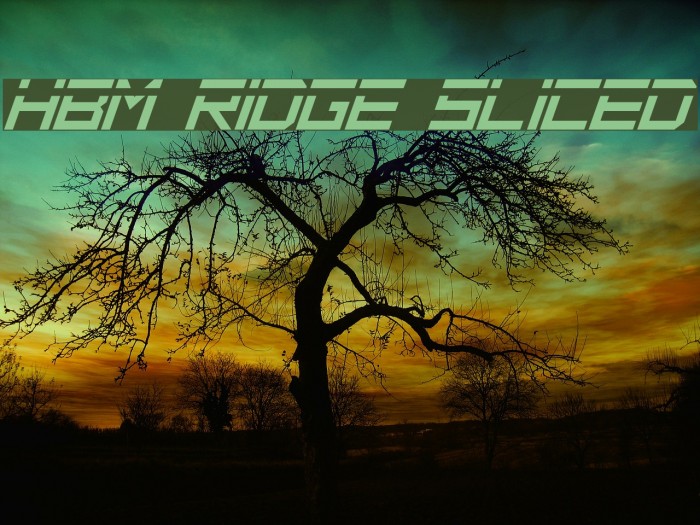 HBM Ridge Sliced Font examples