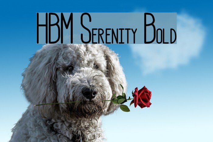 HBM Serenity Bold Font examples