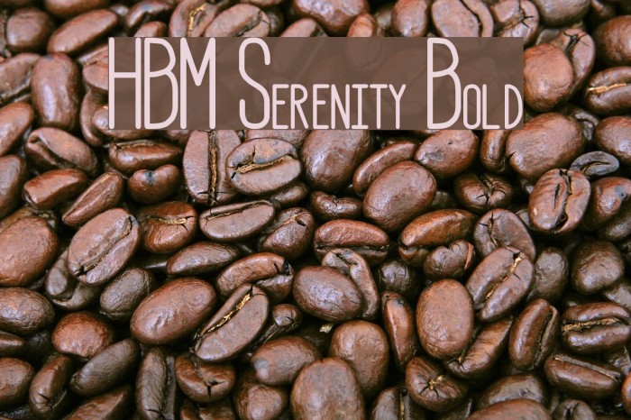 HBM Serenity Bold Font examples