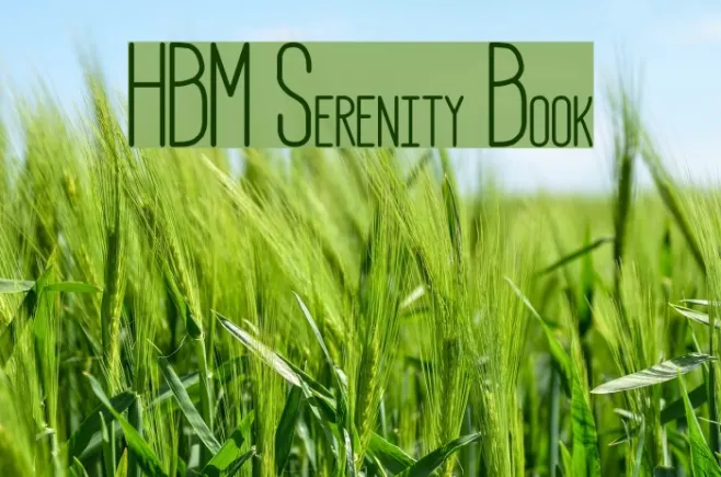 HBM Serenity Book Example 3