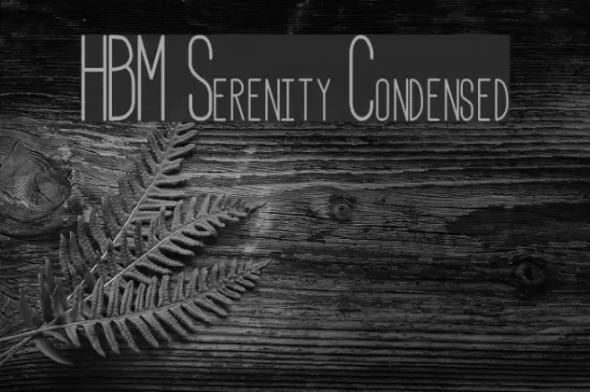 HBM Serenity Condensed Font examples