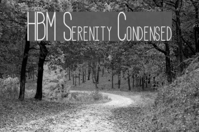 HBM Serenity Condensed Font examples