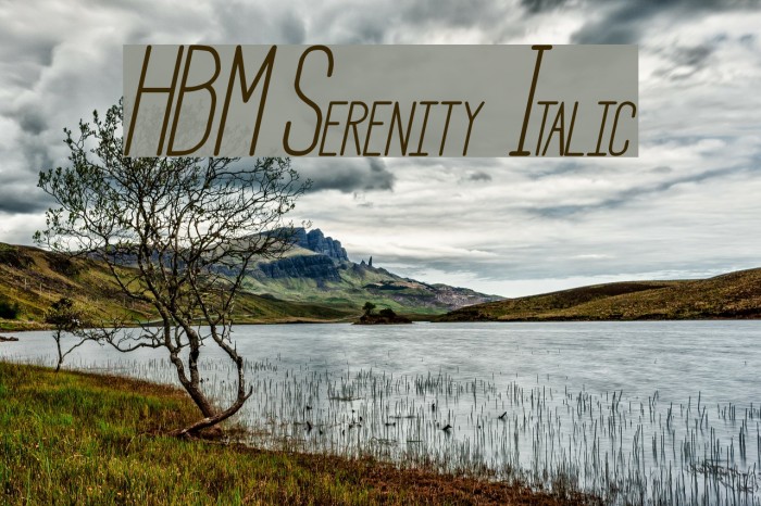 HBM Serenity Italic Font examples