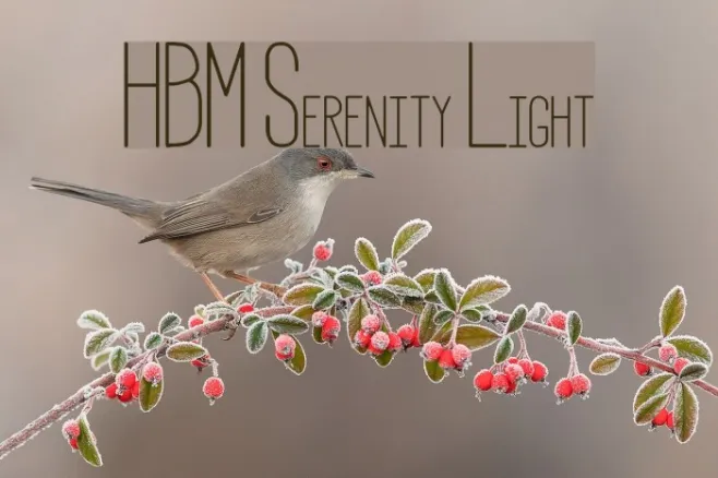 HBM Serenity Light Example 2
