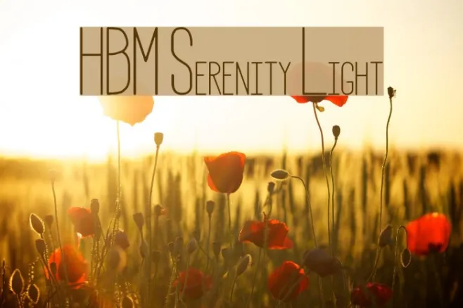 HBM Serenity Light Example 3
