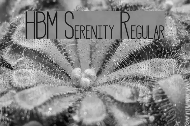 HBM Serenity Regular Font examples