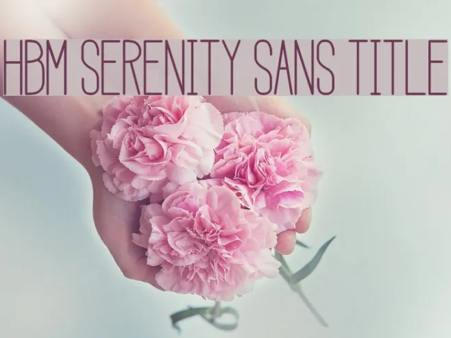 HBM Serenity Sans Title Example 1