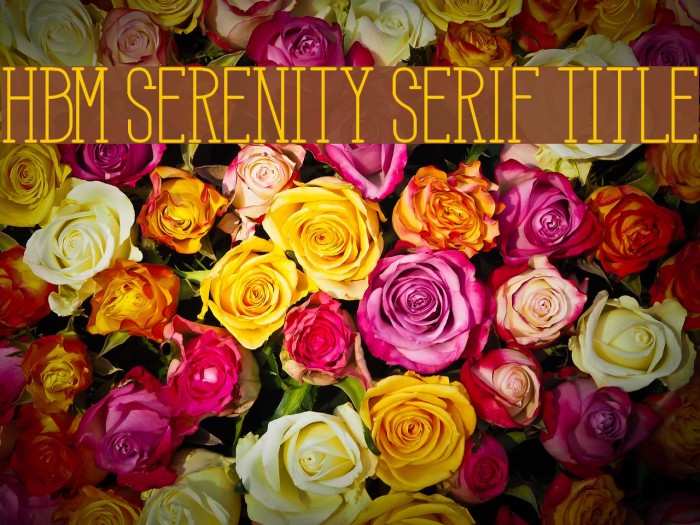 HBM Serenity Serif Title Font examples