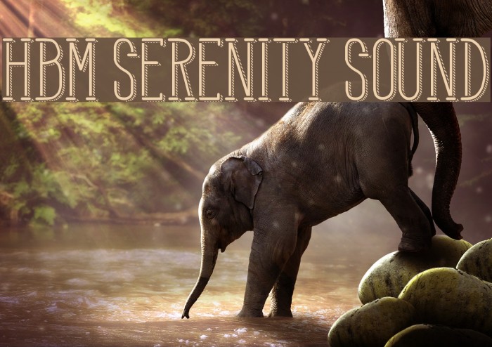HBM Serenity Sound Example 1