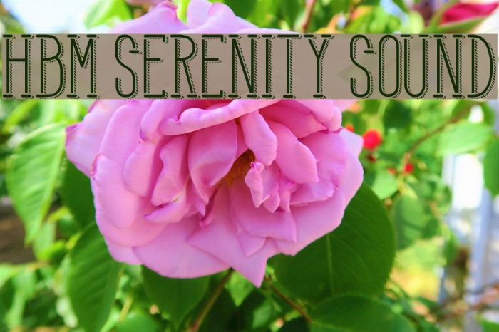 HBM Serenity Sound Example 3