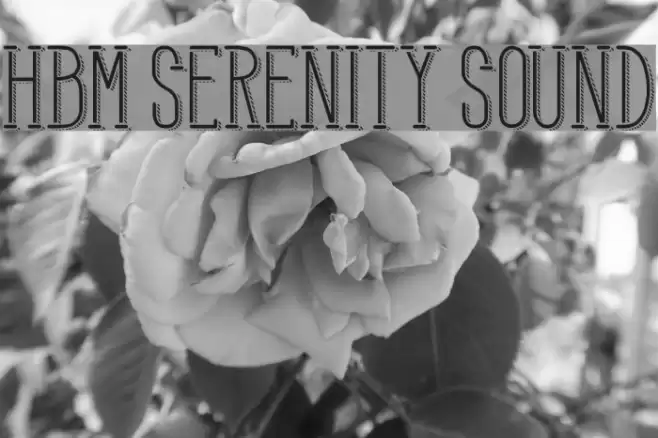 HBM Serenity Sound Font examples