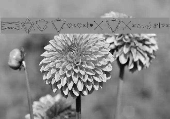 HBM Serenity Symbolism Font examples