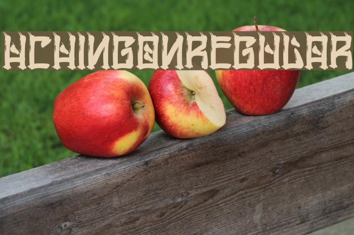 HChingon-Regular Font examples