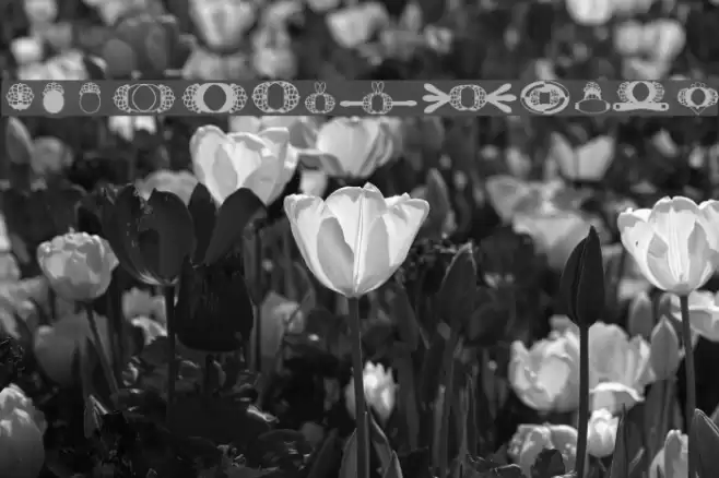 HDGEM8 Font examples