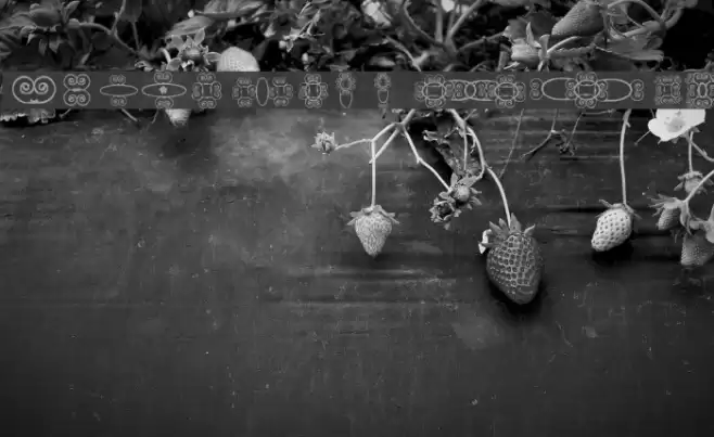 HD_GEMS4 Font examples