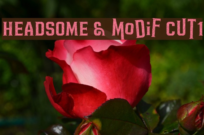HEADSOME & modif Cut1 Font examples
