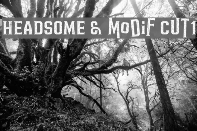 HEADSOME & modif Cut1 Font examples