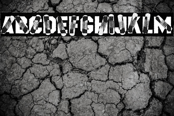 HEALTHYFIX PERSONAL USE Regular Example 1