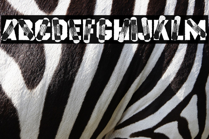 HEALTHYFIX PERSONAL USE Regular Example 3