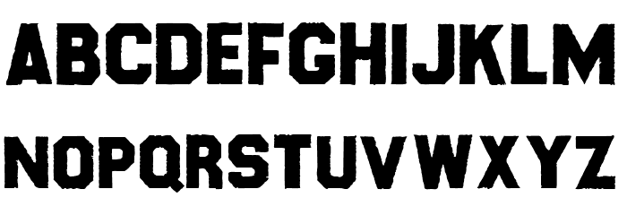 HEALTHYFIX PERSONAL USE Regular Font LOWERCASE