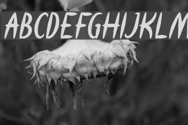 HEART SHAPED Bold Italic Font examples